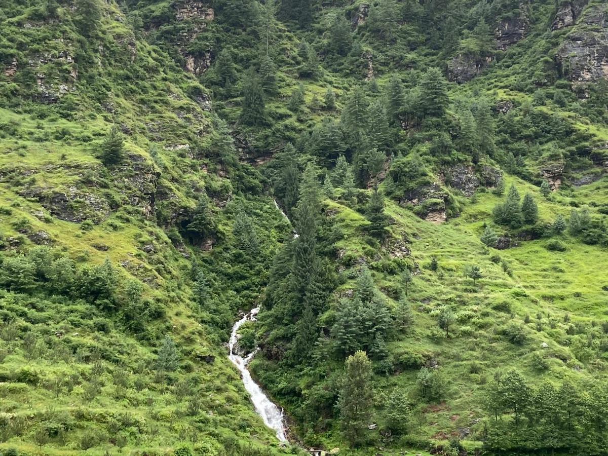 Solang Valley Resort Manāli Εξωτερικό φωτογραφία