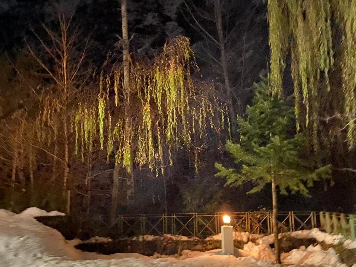Solang Valley Resort Manāli Εξωτερικό φωτογραφία