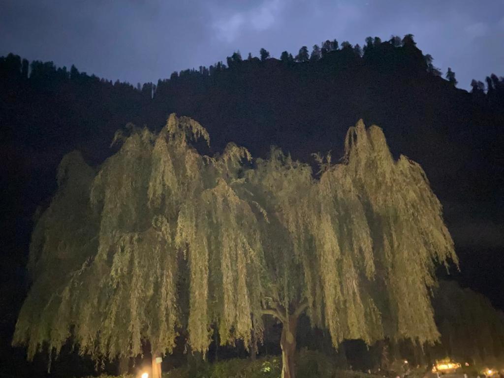 Solang Valley Resort Manāli Εξωτερικό φωτογραφία